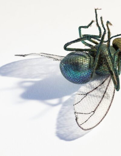 Textile Fly