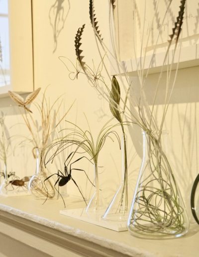 Flora and Fauna Installation for jaggedart gallery's Garden Room at Collect Art Fair, Somerset House, March 2025