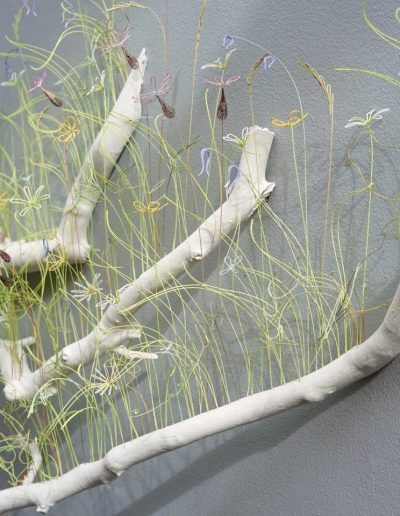 Hedgerow Installation for a conservation project in collaboration with North York Moors National Park 2023