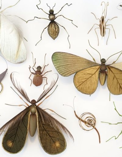 Collection of Creatures displayed at jaggedart's Summer show, June 10 - July 10.