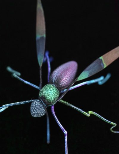 Winged beetle purple/green £350. Wings made fro peacock feathers, body made from veiling wrapped over iridescent fibre, with legs bound in fine wire to give iridescent filigree effect Size H 5 x L 9 x W 9cm. Sales: studio@bridgetbailey.co.uk