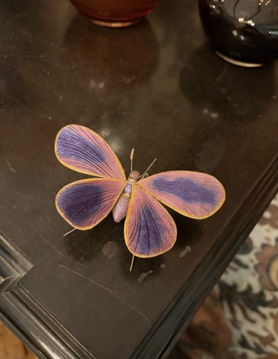 Velvet Butterfly Purple/gold £500. Embossed velvet and dyed paper wings, body wrapped in silk chiffon and veiling, with legs bound by hand with fine wire to give iridescent filigree effect. Size H 3.5 x W 12 x L 7cm. Sales: contact studio@bridgetbailey.co.uk