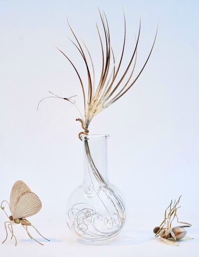 Life-cycle installation. Homo Faber 2026 exhibition celebrating contemporary craft, An island of light, Venice. September 2026