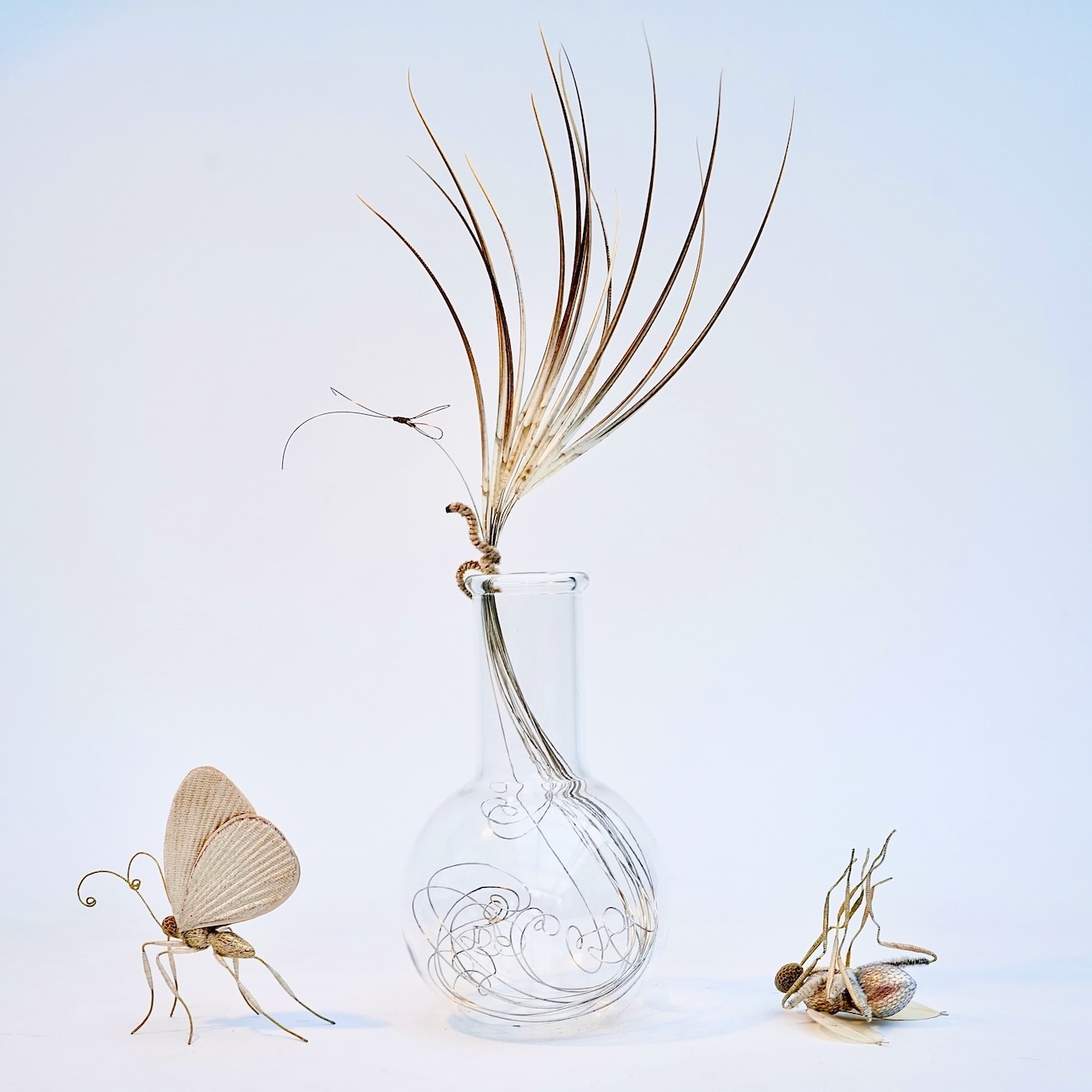 Life-cycle installation 